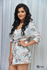 Malavika Sharma at Nela Ticket Movie Pressmeet